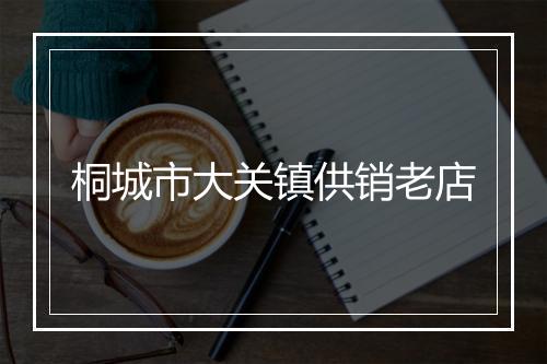 桐城市大关镇供销老店