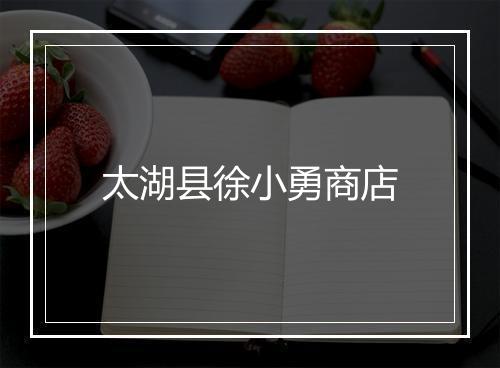 太湖县徐小勇商店