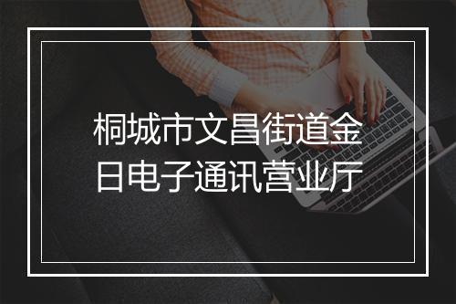 桐城市文昌街道金日电子通讯营业厅