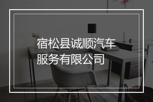 宿松县诚顺汽车服务有限公司