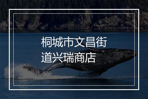 桐城市文昌街道兴瑞商店
