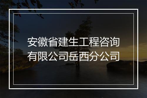 安徽省建生工程咨询有限公司岳西分公司