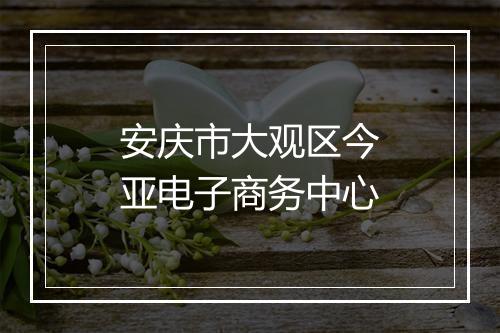 安庆市大观区今亚电子商务中心