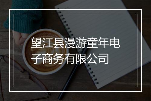 望江县漫游童年电子商务有限公司
