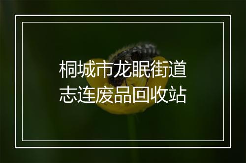 桐城市龙眠街道志连废品回收站