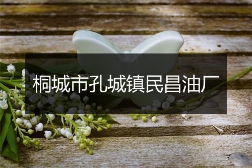 桐城市孔城镇民昌油厂