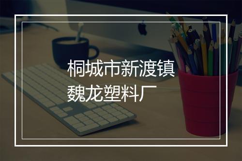 桐城市新渡镇魏龙塑料厂