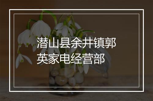潜山县余井镇郭英家电经营部