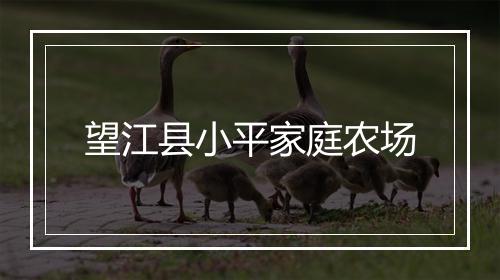 望江县小平家庭农场