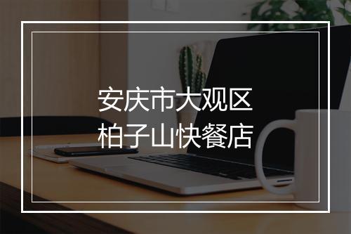 安庆市大观区柏子山快餐店