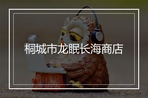 桐城市龙眠长海商店