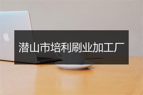 潜山市培利刷业加工厂