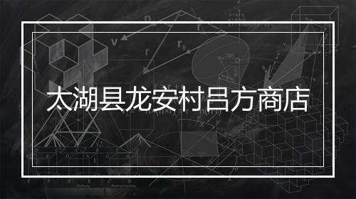 太湖县龙安村吕方商店