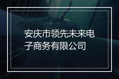 安庆市领先未来电子商务有限公司