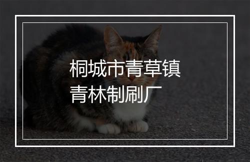 桐城市青草镇青林制刷厂