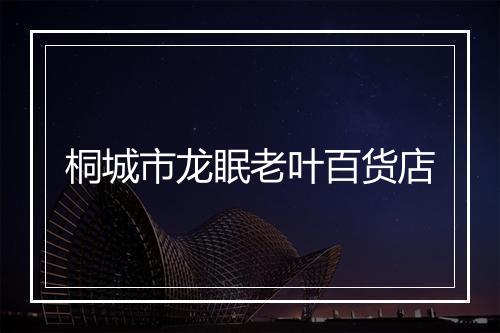 桐城市龙眠老叶百货店