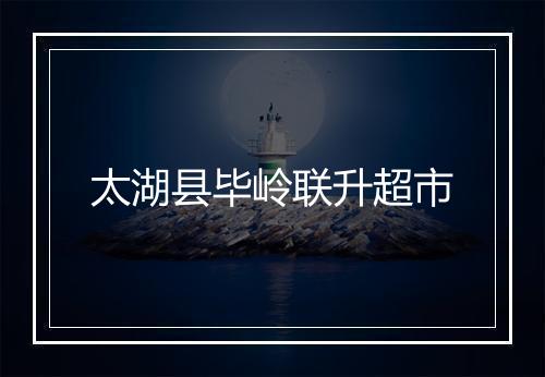 太湖县毕岭联升超市