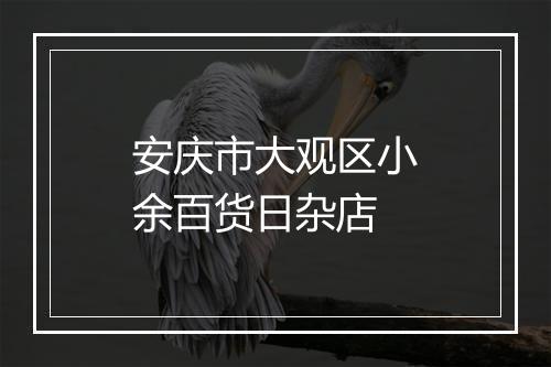 安庆市大观区小余百货日杂店