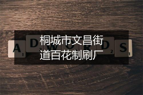 桐城市文昌街道百花制刷厂