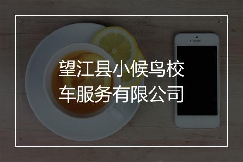 望江县小候鸟校车服务有限公司