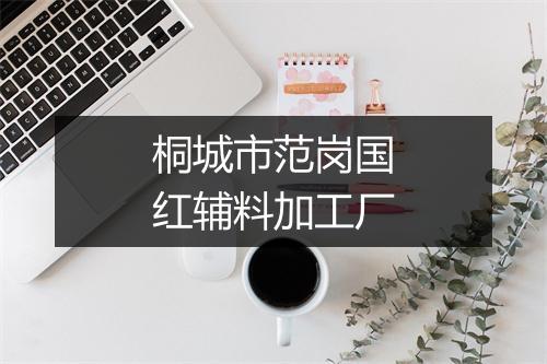 桐城市范岗国红辅料加工厂