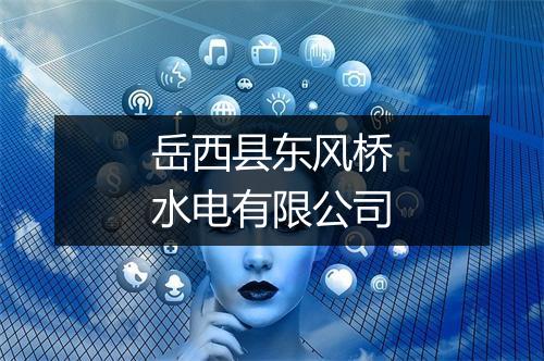 岳西县东风桥水电有限公司