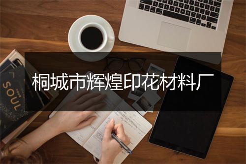 桐城市辉煌印花材料厂