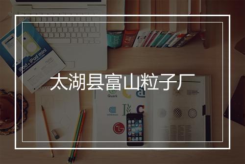 太湖县富山粒子厂