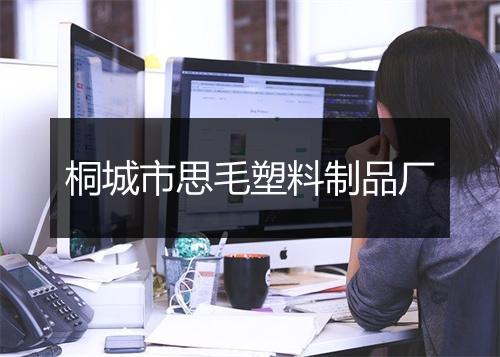 桐城市思毛塑料制品厂
