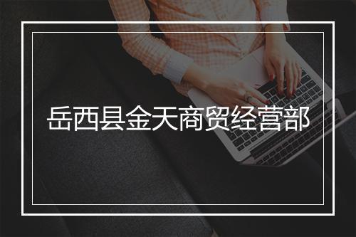 岳西县金天商贸经营部