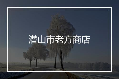 潜山市老方商店