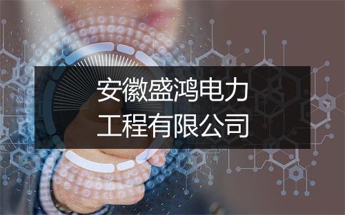 安徽盛鸿电力工程有限公司