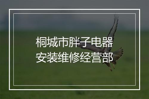 桐城市胖子电器安装维修经营部