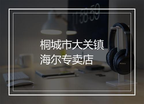 桐城市大关镇海尔专卖店
