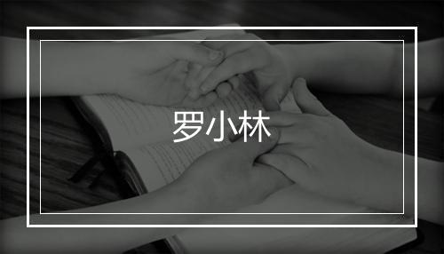罗小林