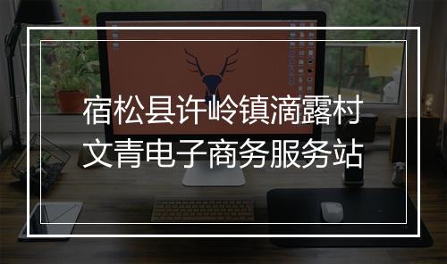 宿松县许岭镇滴露村文青电子商务服务站