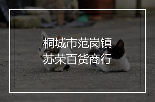 桐城市范岗镇苏荣百货商行