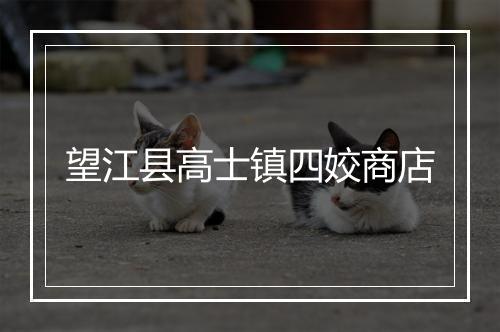 望江县高士镇四姣商店