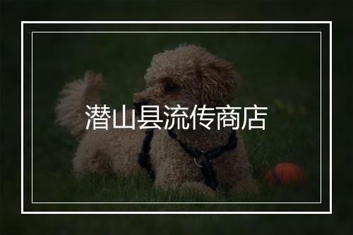 潜山县流传商店