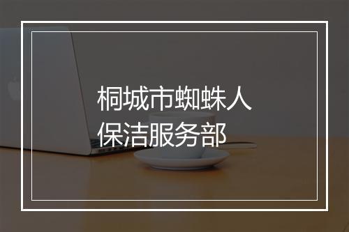 桐城市蜘蛛人保洁服务部