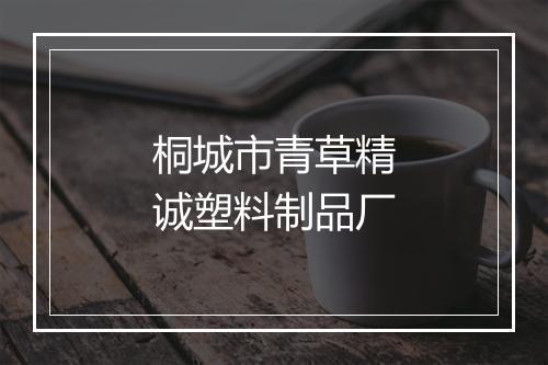 桐城市青草精诚塑料制品厂