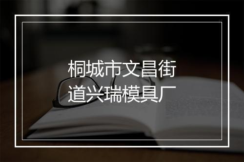 桐城市文昌街道兴瑞模具厂