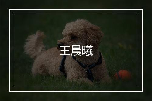 王晨曦