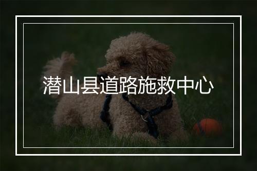 潜山县道路施救中心