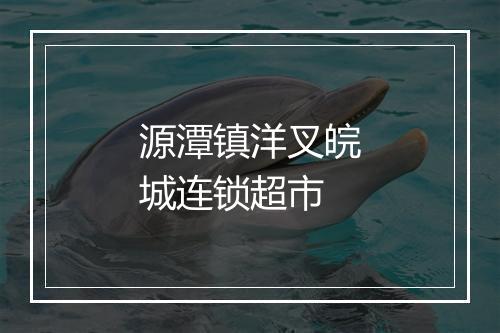 源潭镇洋叉皖城连锁超市