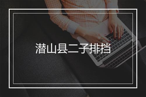 潜山县二子排挡