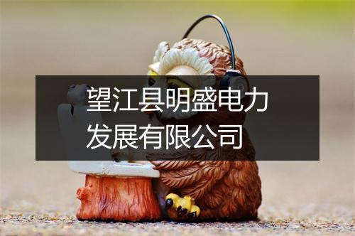 望江县明盛电力发展有限公司