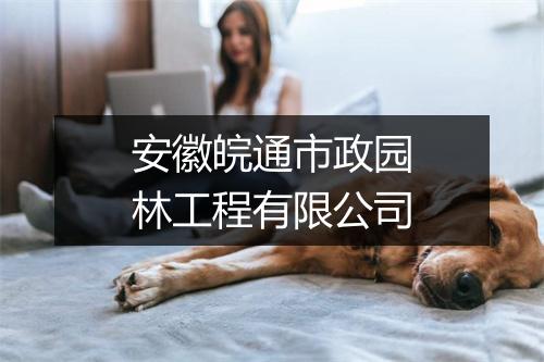 安徽皖通市政园林工程有限公司
