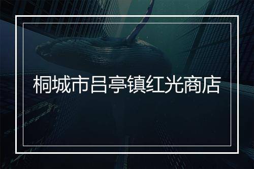 桐城市吕亭镇红光商店