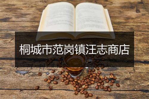 桐城市范岗镇汪志商店